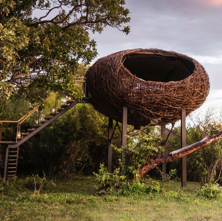Zambia’s Eco-Conscious Safaris Are Finally Getting Their Due