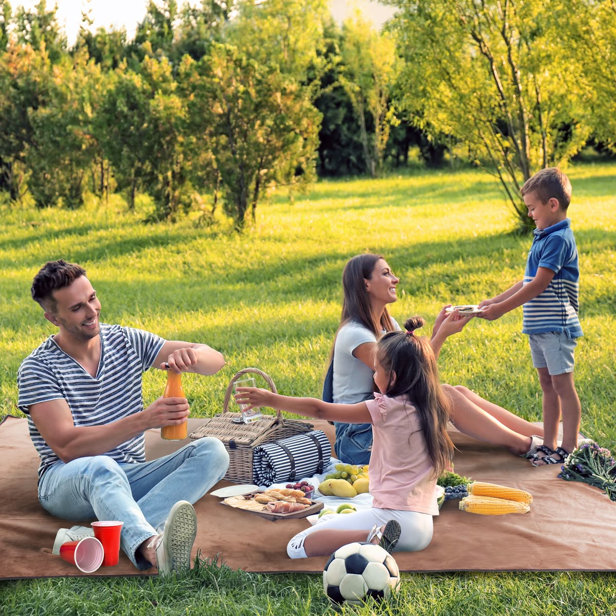 A family sitting on a blanket in the park, sharing snacks under the sun.